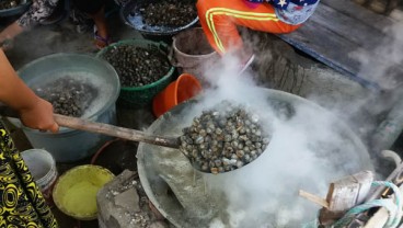 Kerang bisa Diolah Lebih Sehat dengan Mesin Kukus, bukan Direbus 