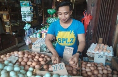 Harga Telur Ayam Ras Sentuh Level Tertinggi