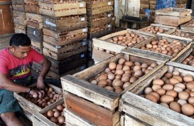 Blitar Siap Kirim 200.000 Ton Telur Ayam ke DKI