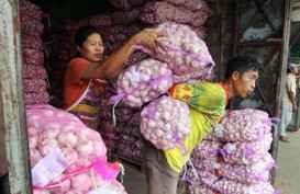 PT Pertani Revisi Target Produksi benih Bawang Putih