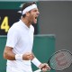 Hasil Tenis Wimbledon: Del Potro Lolos ke 8 Besar, Jumpa Nadal