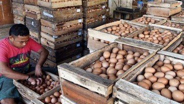 Harga Telur Ayam di Purwokerto Lampaui Kondisi Lebaran