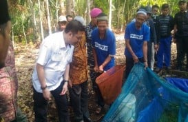 BRG Libatkan Tokoh Agama Edukasi Restorasi Gambut