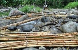 Produk Hasil Hutan : Kesadaran Sertifikasi Masih Minim