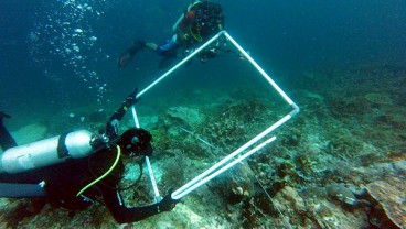 Banyak Penyelam Rusak Terumbu Karang, Menteri Susi: Aneh, Senang Diving Tapi Malas Berenang