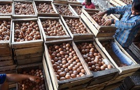 Pakde Karwo: Harga Telur Naik Karena Pakan Ternak