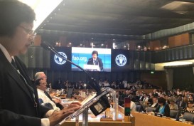 Pertemuan Komite Hutan FAO, Menteri LHK Siti Nurbaya: Perubahan Besar Terjadi di Indonesia