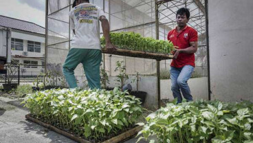 Gerakan Batanang Rica dan Tomat Diharapkan Rem Inflasi Sulut