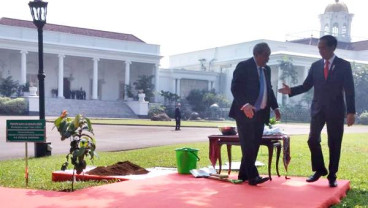 Presiden Mikronesia Temui Presiden Joko Widodo di Istana Bogor