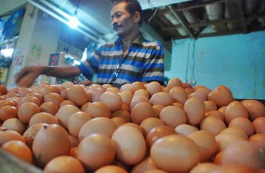 Harga Telur, Kini Rp28.000 Per Kilogram