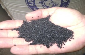 PENGOLAHAN KARET : Proyek Infrastruktur Agar Serap Crumb Rubber