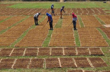 Penggunaan Dana Bagi Hasil Cukai Tembakau Untuk JKN Disorot