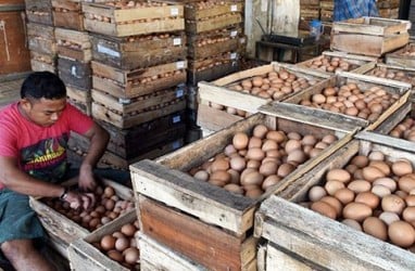 HARGA TELUR di Solo Menggelinding Turun