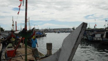 Demi Panen Tongkol Lisong, Nelayan Sukabumi Nekad Melaut