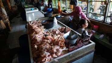 Sebagian Pedagang Ayam di Wonosari Tutup Siasati Tingginya Harga