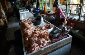 Sebagian Pedagang Ayam di Wonosari Tutup Siasati Tingginya Harga