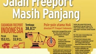 DIVESTASI SAHAM FREEPORT, Inalum Cari Offshore Funding, Ini Penjelasannya