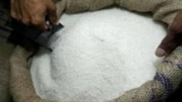 Revitalisasi Pabrik, Holding PTPN Targetkan Produksi Gula 2019 capai 900.000 ton