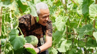 Ganjar Pranowo Ingin Jateng Kembangkan Pertanian Berkelanjutan