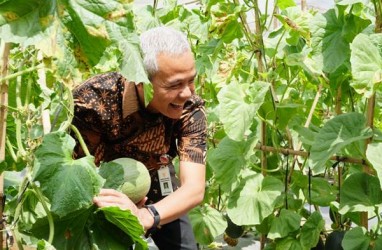 Ganjar Pranowo Ingin Jateng Kembangkan Pertanian Berkelanjutan