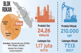 Gubernur Terpilih Berharap Riau Berpeluang Kerjasama Kelola Blok Rokan