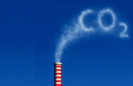 Pasar Karbon Bisa  Bantu Turunkan Emisi Gas Rumah Kaca