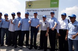 BASF Resmikan Regional AgSolution Farm di Jember, Ini Tujuannya