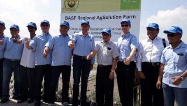 BASF Resmikan Regional AgSolution Farm di Jember, Ini Tujuannya