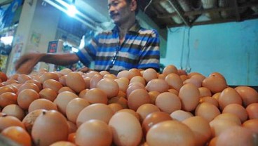 Telur dan Daging Ayam Jadi Penyebab Inflasi di Sumbar