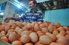 Telur dan Daging Ayam Jadi Penyebab Inflasi di Sumbar