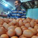 Telur dan Daging Ayam Jadi Penyebab Inflasi di Sumbar
