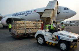 Ekspor Kambing dari Jatim Ditargetkan Mencapai 60.000 Ekor