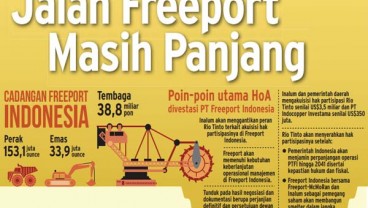 IUPK Freeport Ditambah 1 Bulan, Proses Divestasi Final Bulan Ini?