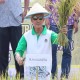 Palembang Pertahankan Keberadaan Sawah Lebak