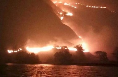 10 Hektare Savana Gili Lawa Taman Nasional Komodo Terbakar, 8 Turis Domestik Dicurigai