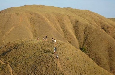 Kebakaran Gili Lawa Tak Pengaruhi Habitat Komodo, tapi Ganggu Habitat Rusa