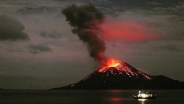 Jumat (3/8), Gunung Anak Krakatau Meletus 49 Kali