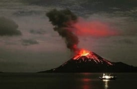 Jumat (3/8), Gunung Anak Krakatau Meletus 49 Kali