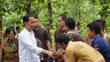 Ini 5 Usulan Bappenas untuk Pembangunan Hutan Indonesia