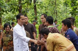 Ini 5 Usulan Bappenas untuk Pembangunan Hutan Indonesia