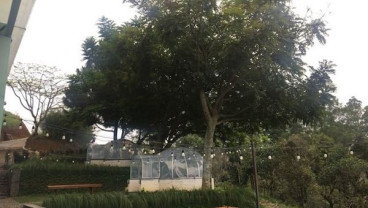 Menikmati Kota Bandung di Malam Hari dari Utara Cafe