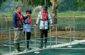 Cargill Buka Pusat Aplikasi Teknologi Peternakan Ikan di Bogor