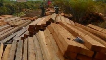 69 Kontainer Kayu Ilegal Ditahan di Jayapura