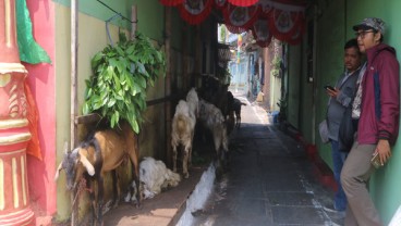 SEJARAH KOTA, Pasar Kambing Semarang Dulu & Kini