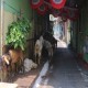 SEJARAH KOTA, Pasar Kambing Semarang Dulu & Kini