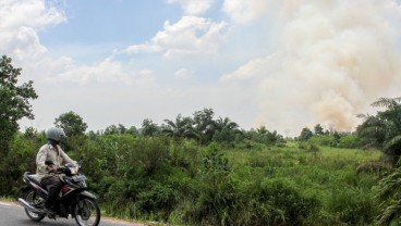 Kebakaran Lahan di Pesisir Riau Masih Membara