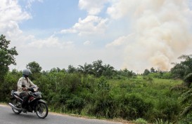 Kebakaran Lahan di Pesisir Riau Masih Membara