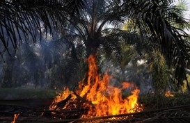 Kebakaran hutan Riau  :  Sumber Air Kering, Pemadaman Makin Sulit