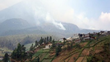 Pembangunan Anak Tangga Gunung Lawu Jadi Kontroversi