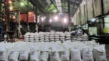 PTPN XI Targetkan Produksi Gula Capai 347.000 Ton